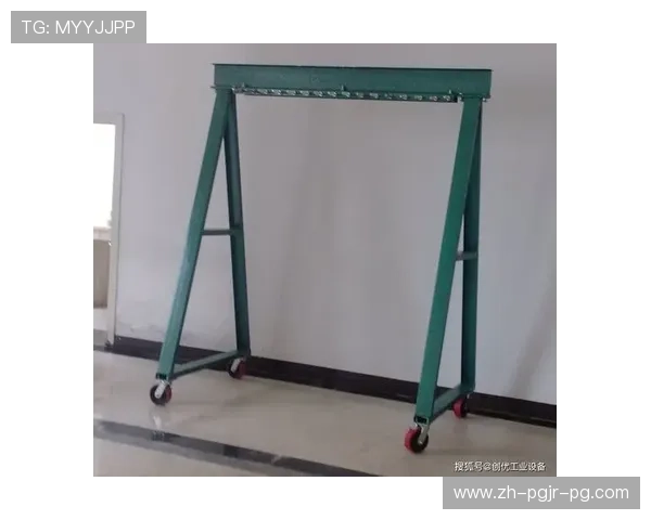 龙门架钢铁巨兽如何玩转自重抗阻训练