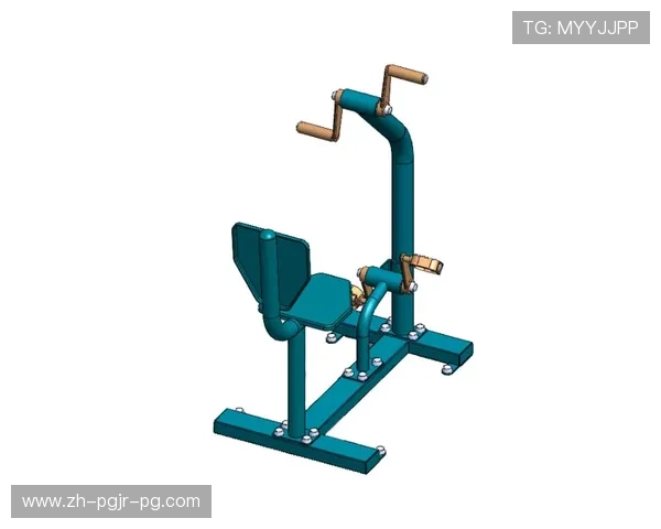 适合老年人使用的健身器材推荐